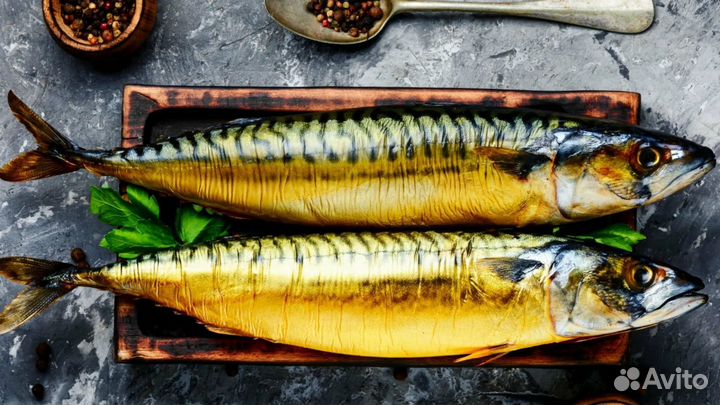 Скумбрия холодного копчения очень вкусная