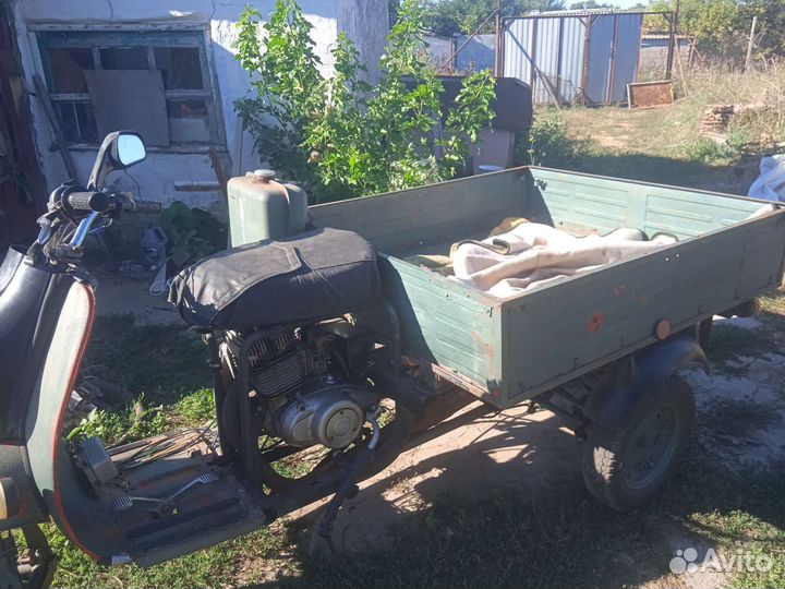 Муравей