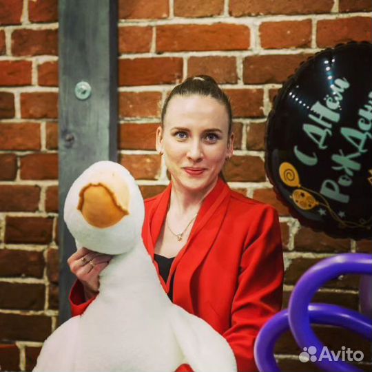 Ведущий, организатор, координатор мероприятий