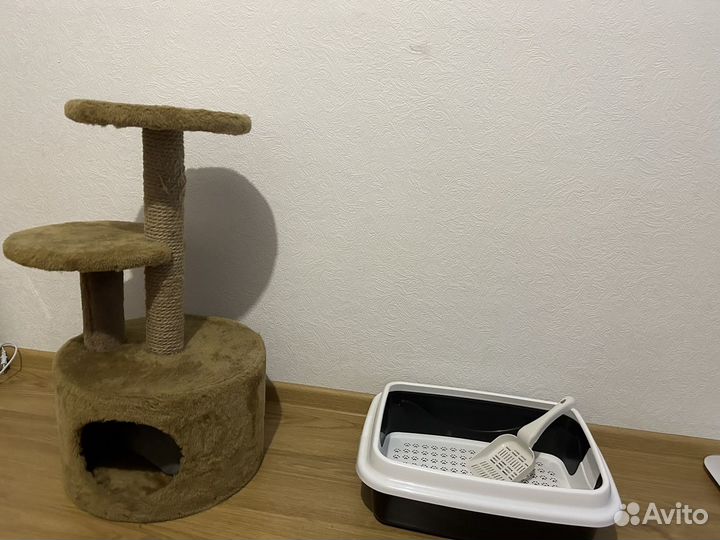 Домик для кошки с когтеточкой и лоток
