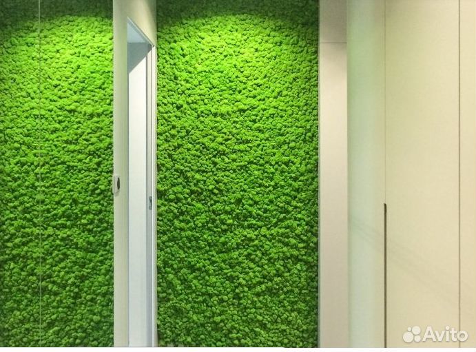 Стабилизированный мох. Озеленение. Фитодизайн