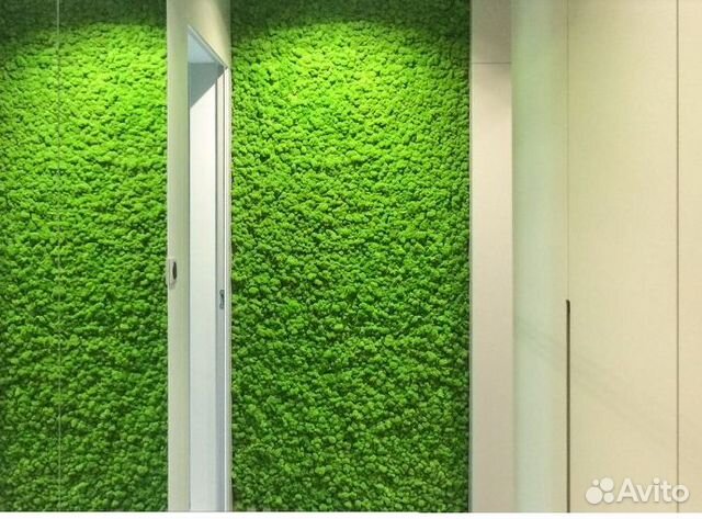 Стабилизированный мох. Озеленение. Фитодизайн