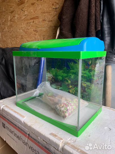 Аквариум