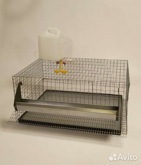 Перепелиные клетки