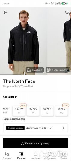 Ветровка The north face оригинал