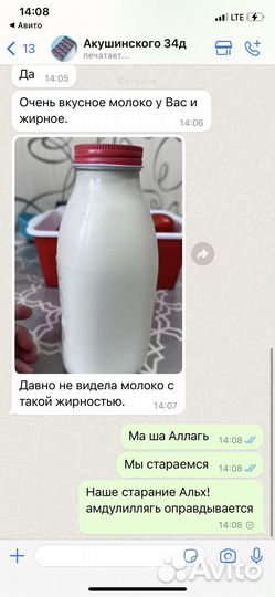 Молоко коровье домашнее