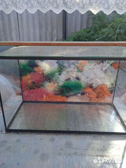 Аквариум