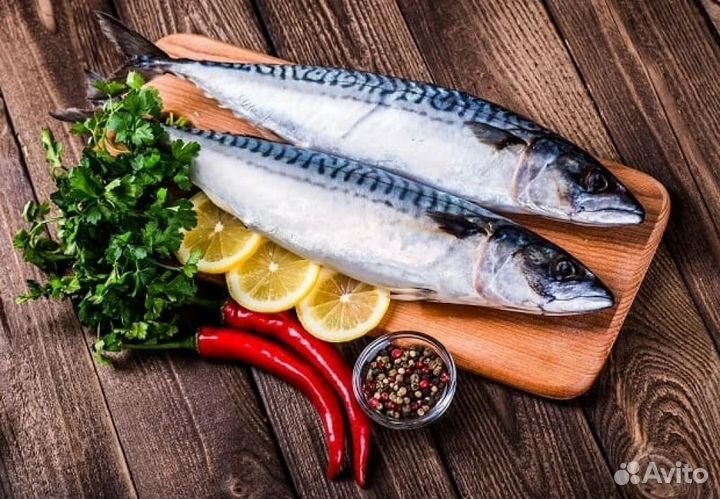 Самая полезная рыба