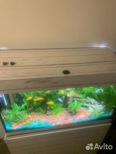 Аквариум с тумбой