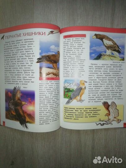 Травина Ирина Владимировна 