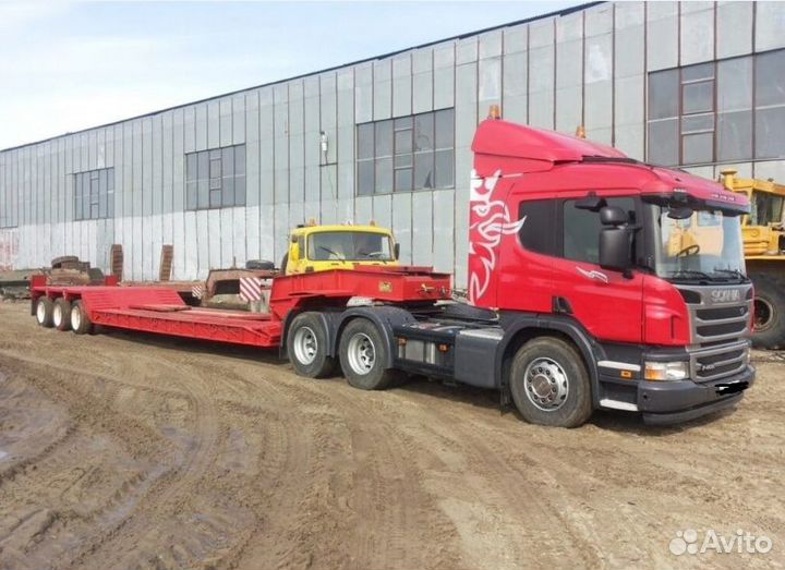 Услуги Трала