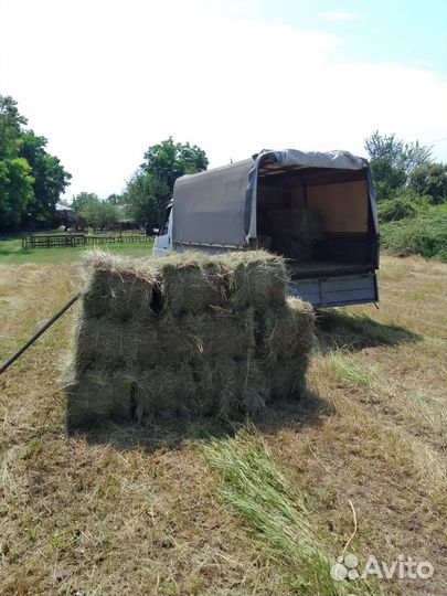 Грузоперевозки любой сложности