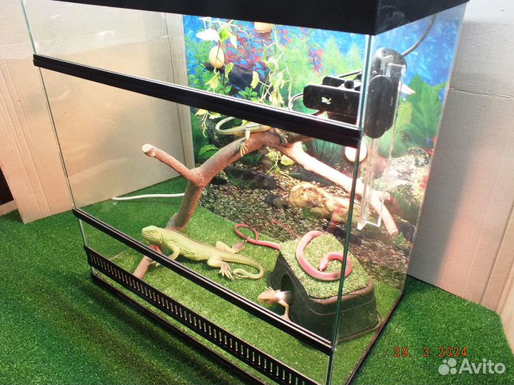 Супер террариум для экзотики