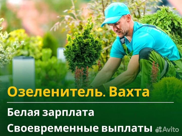 Озеленитель вахта с жильем и питанием