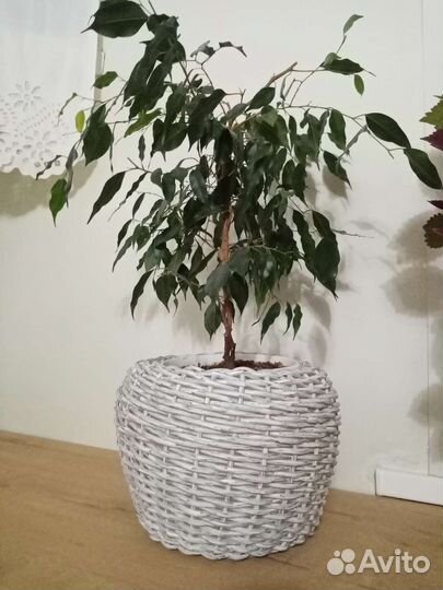 Кашпо из искусственного ротанга