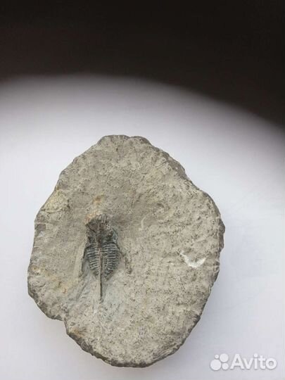 Коллекционные камни