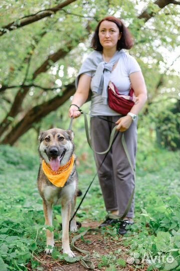 Бывшкдомашняя Умка попала в приют