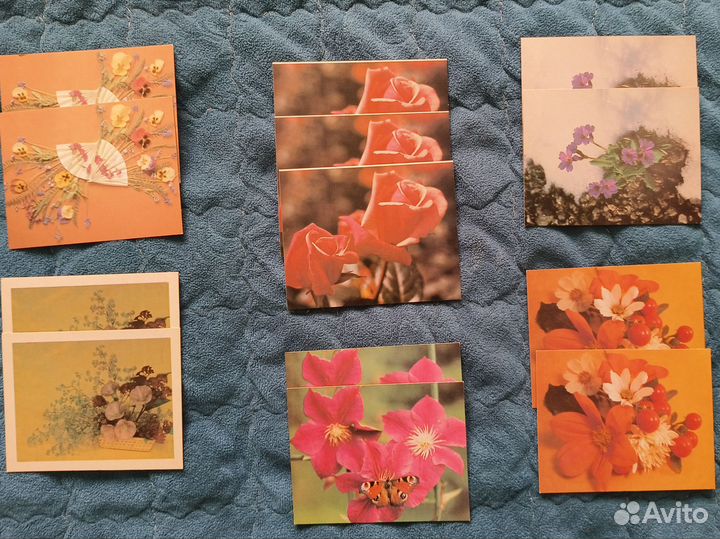 Календарики цветы