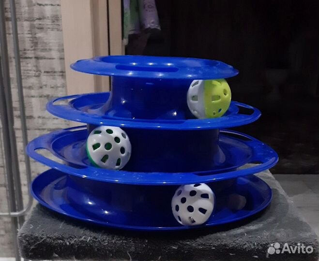 Лабиринт для кошек