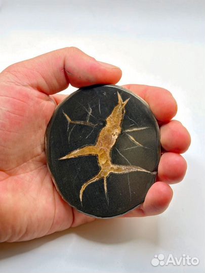 Септария камень оберег