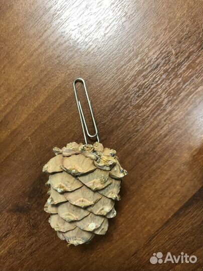 Шишка для изготовления елочной игрушки