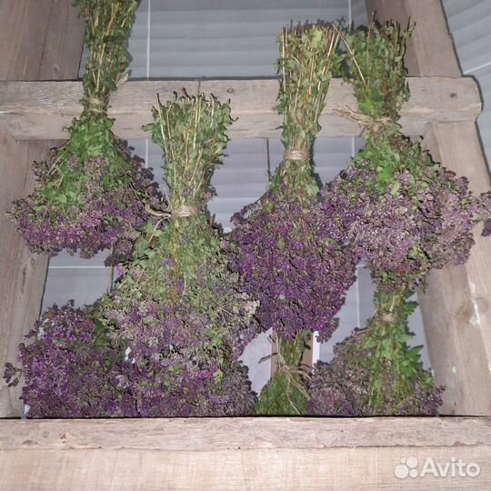 Душица сушеная