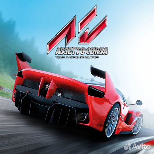 Assetto Corsa для PS4&PS5