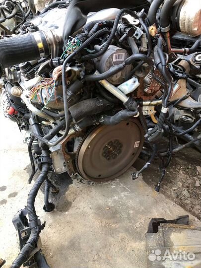 Тнвд M9R 2.0 дизель Nissan Renault