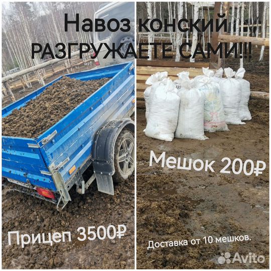 Навоз конский