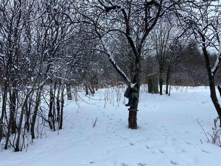 Участок 10 сот. (ИЖС)