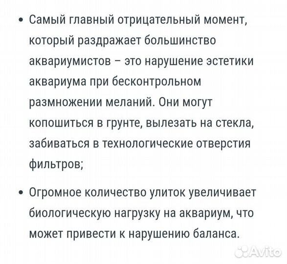 Улитки Мелании
