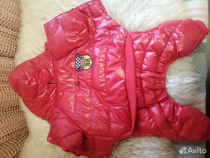 Комбинезон для собаки