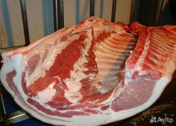 Продажа Свинины