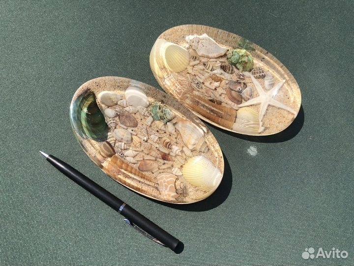 Ракушки интерьерные