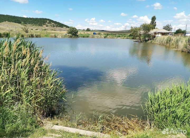 Рыбалка Крым