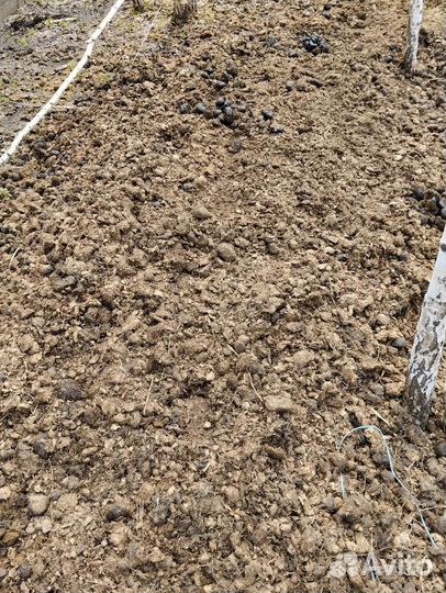 Конский навоз