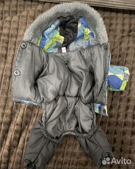 Комбинезон, дублёнка, обувь для маленькой собаки