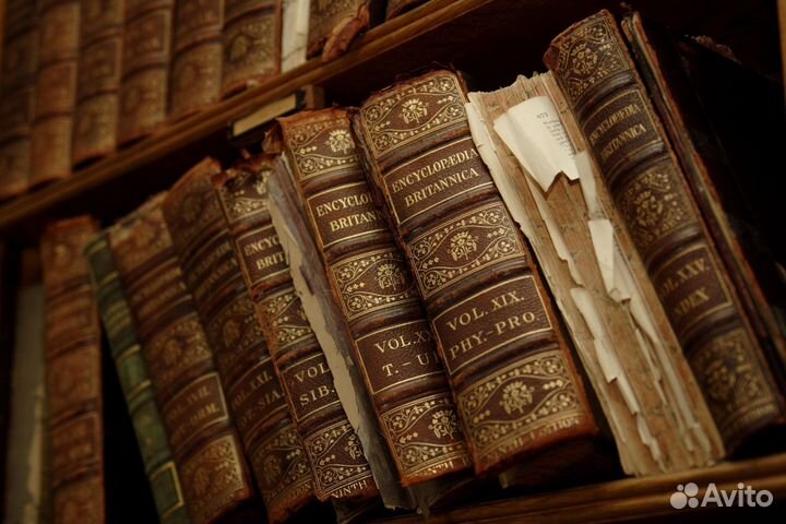 Редактирование докладов