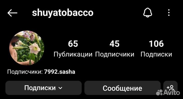 Семена табака