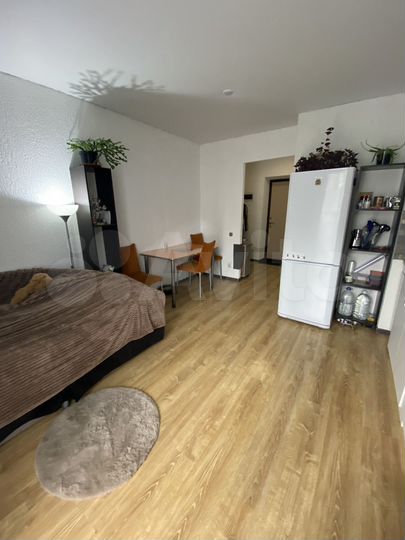 Квартира-студия, 22,3 м², 2/3 эт.