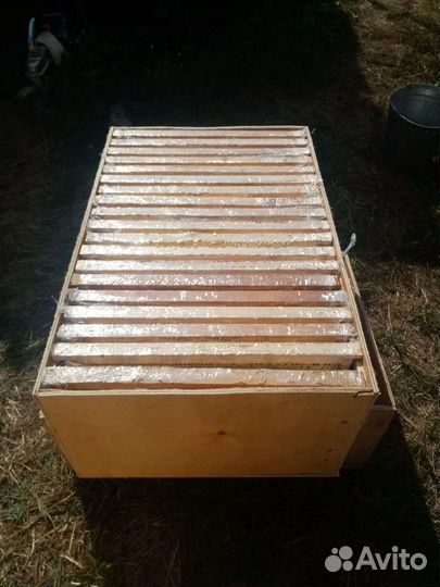 Рамка меда в сотах (доставка по Тюмени 50)