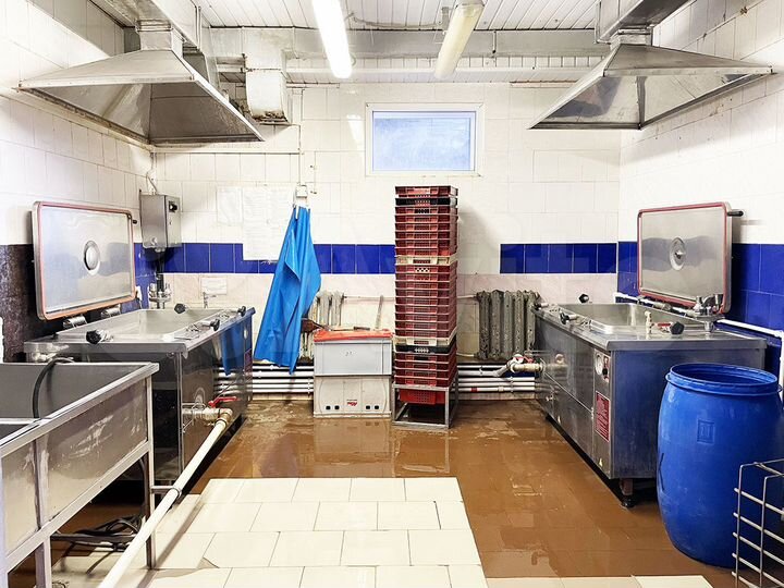 Продажа здания под пищевое производство - 970 м²