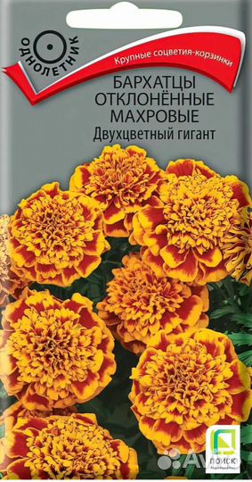 Бархатцы 4-х сортов