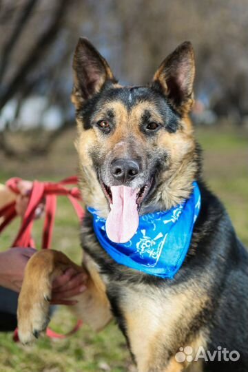 Мододой мальчик Лукум