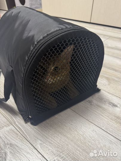Переноска для кошек бу
