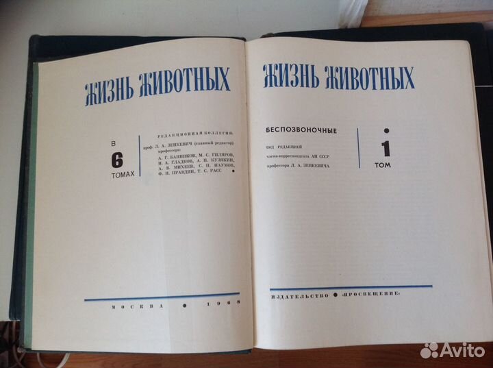 Энциклопедия 