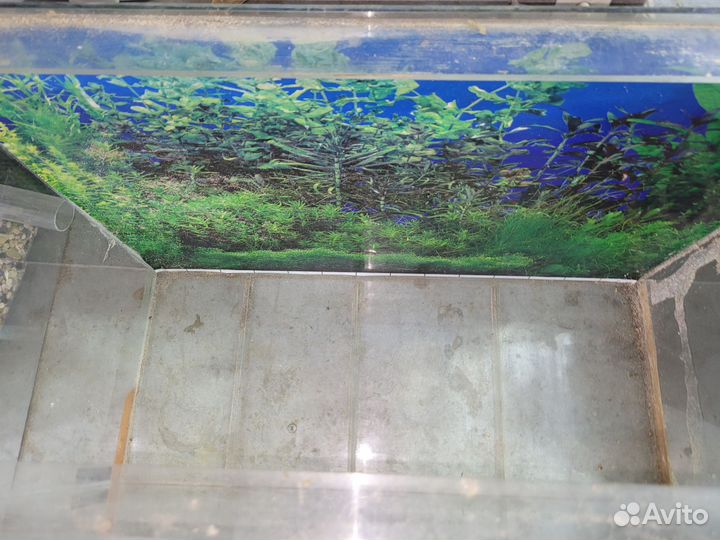 Аквариум на 50 литров