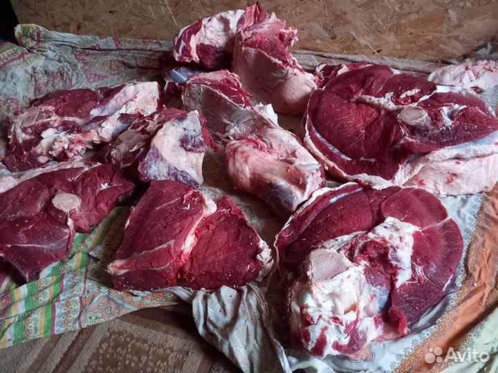 Мясо говядина,свинина