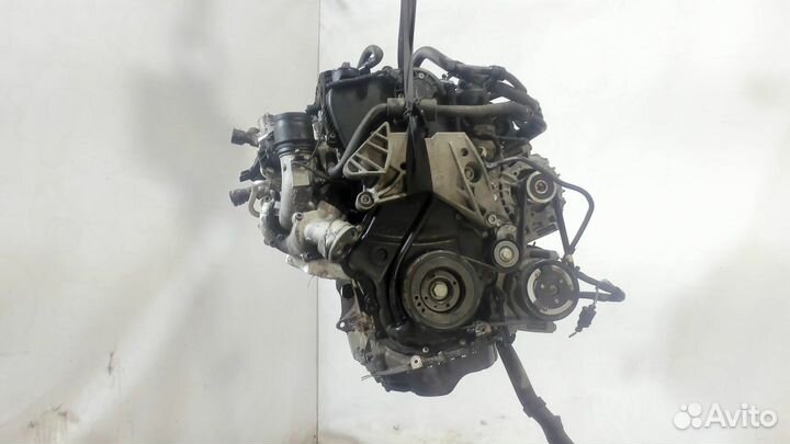 Двигатель Volkswagen Jetta 6, 2012