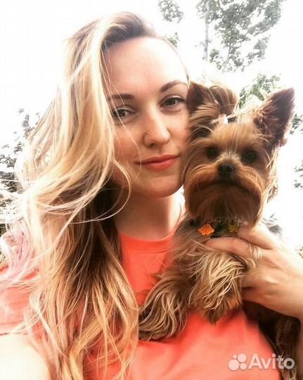 Передержка для животных. Ситтер. Выгул собак